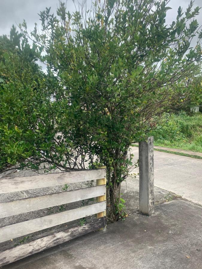 Caraibes Loc Apartment Ducos Екстериор снимка